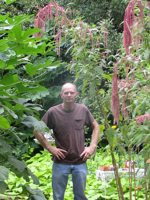 Me in the garden between the Amaranthus 'Love Lies Bleeding' and the 'Cowhorn' Okra. Both grew over 12' tall. This photo was taken on 9-6-09 (#33-3)